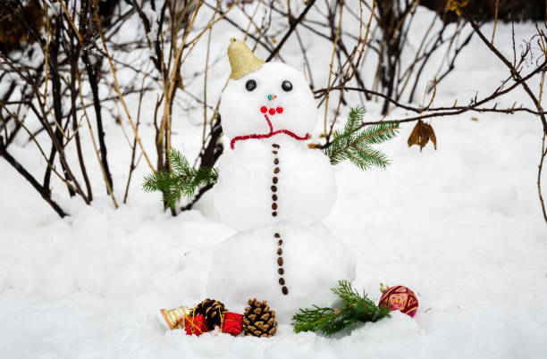 istock Snowman in the winter garden 1081510970