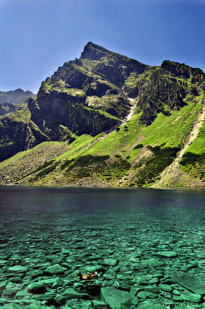 Lake with Tatra Mountains in Background stock photo