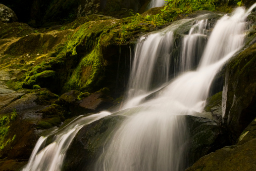 Mun dang waterfall with a pink flower foreground in Rain Forest at Phu Hin Rong Kla National Park ,Phitsanulok, Thailand.