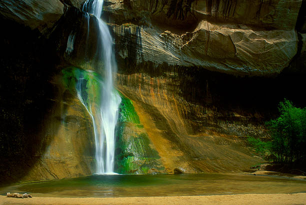 Lower Calf Creek Falls in Grand Staircase Escalante National Monument flows over the side of a cliff. The rock face is wet from the water pool hidden among the trees in the desert. This serves as an oasis in the hot sun.