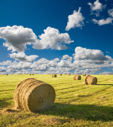 straw bale the north sea coast in germany