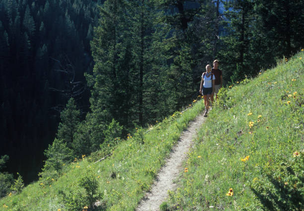 istock Couple hike along footpath through flowery meadow 1081517386