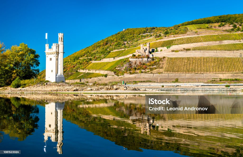 The Mouse Tower with Ehrenfels Castle on the background. The Rhine Valley, Germany The Mouse Tower with Ehrenfels Castle on the background. The Upper Middle Rhine Valley, Germany Rhine River Stock Photo