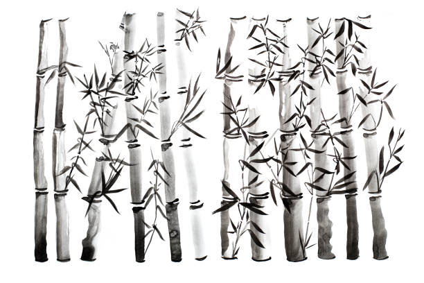 ręcznie rysowane liście bambusa i zestaw gałęzi, malowanie tuszem. tradycyjne suche malowanie pędzlem kaligraficznym. (odizolowane na białym tle) - bamboo watercolor painting isolated ink and brush zdjęcia i obrazy z banku zdjęć