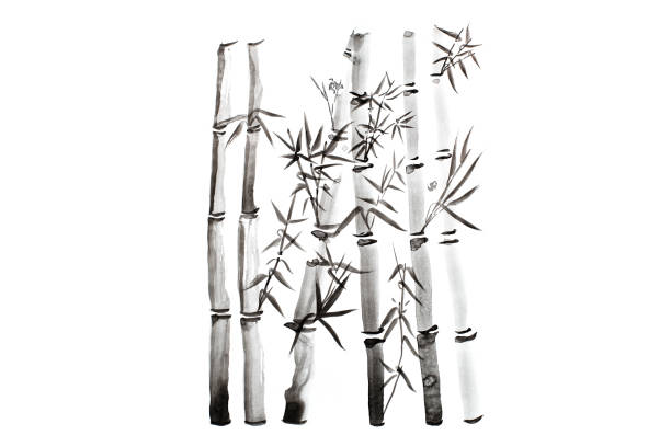 folhas de bambu de mão desenhada e filial definida, pintura de tinta. pintura tradicional pincel caligráfico seco. (isolado no fundo branco) - east china - fotografias e filmes do acervo
