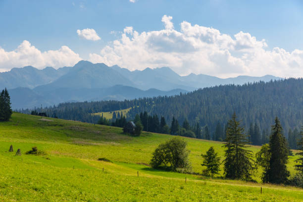 istock green mountain pasture in Tatras 1081526922