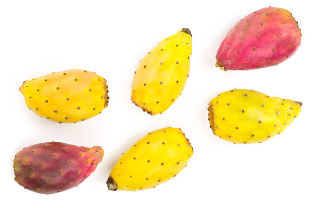 istock red end yellow prickly pear or opuntia isolated on a white background. Top view. Flat lay 1081530230