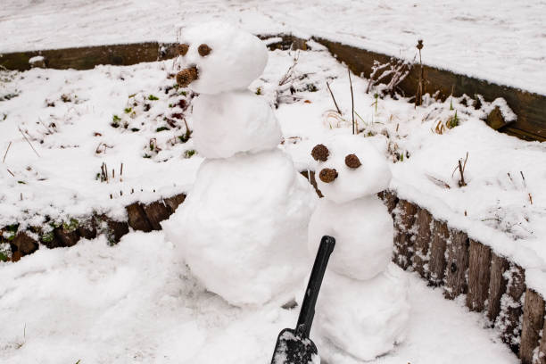istock Two snowmen with a nose cone, standing in the snow 1081534840