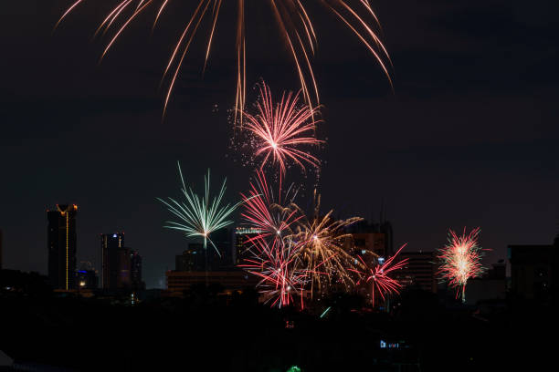 istock Colorful firework in the sky for celebration or background 1081536138