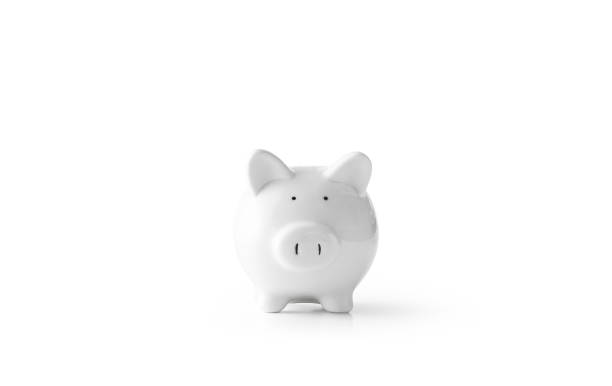 istock Piggy bank 1081540638