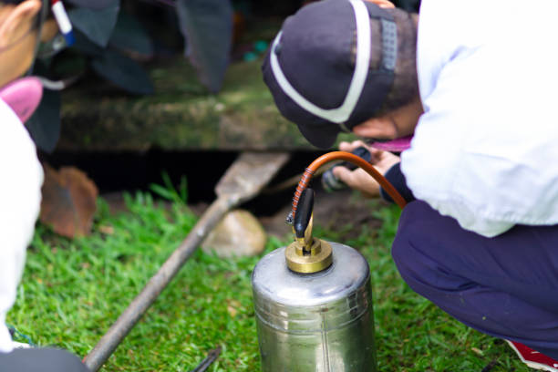 istock Treatment, Pest Control, Fumigation 1081543558
