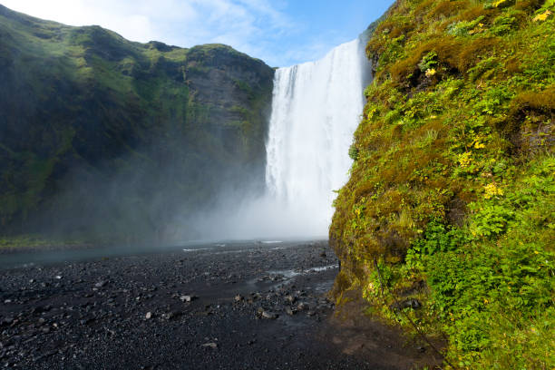 istock Skogafoss falls in summer season view, Iceland 1081544322