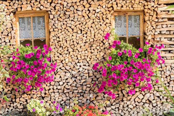istock Flowers near the Dolomites 1081545920