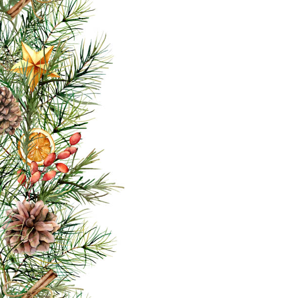 水彩冬モミ枝と花のカードです。手描きのベリー、シナモン、オレンジ、白い背景に分離された円錐形の松のガーランド。デザイン、印刷するための休日境界線。クリスマス イラスト - pine tree pine cone branch isolated点のイラスト素材／クリップアート素材／マンガ素材／アイコン素材
