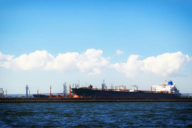 istock Loading cargo ship in port Gdansk, Poland. 1081556990