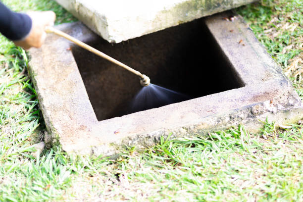 istock Treatment, Pest Control, Fumigation 1081557124