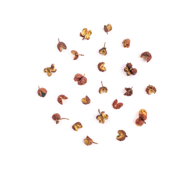 istock Allspice or zanthoxylum or Jamaica pepper 1081558022