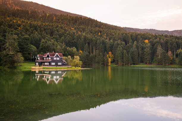 bolu gölcük abant lake nationalpark - woods reflection famous place standing water stock-fotos und bilder