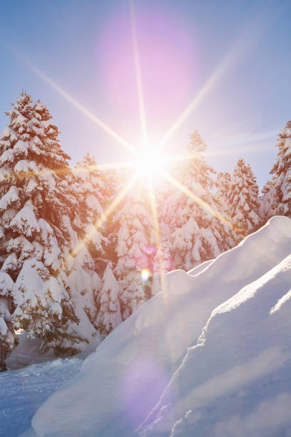 istock Fabulous winter landscape in the mountains 1081563218
