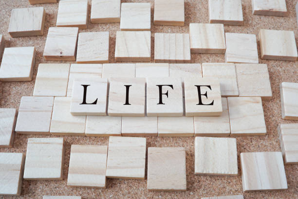 istock Life Word with cube wood 1081563960
