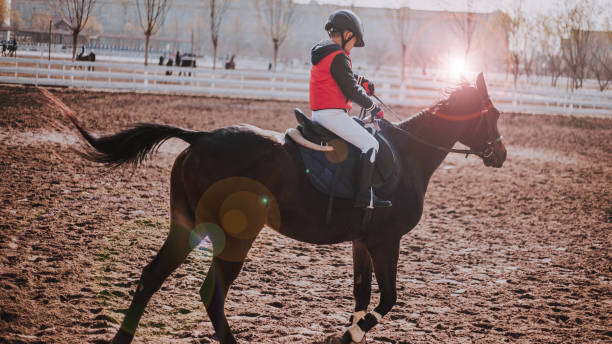 istock Young Asian boy horse riding at a ranch 1081568878