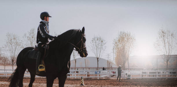 Front view of horse and rider executing jump. Female jockey in uniform riding equine. Equestrian sport. Horseback riding school