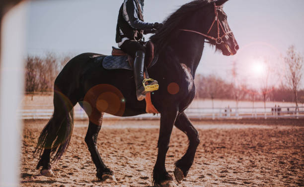 I love my horse