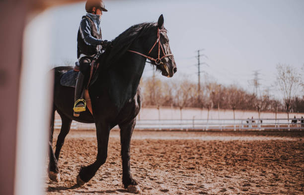 istock I love my horse 1081569372