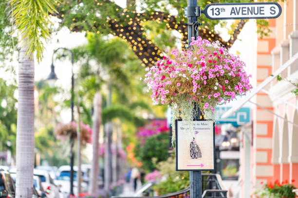 vaso di fiori colorato appeso cestino su avenue nel centro della florida città balneare durante la giornata di sole, strada - naples florida foto e immagini stock