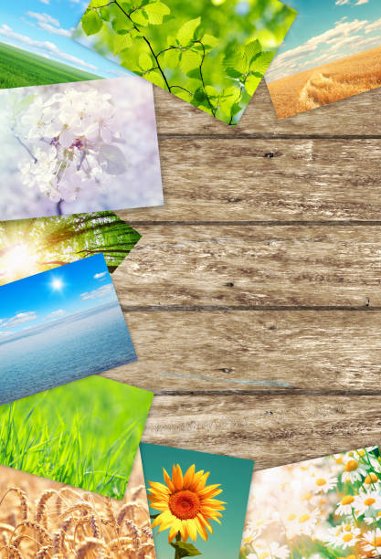 istock Frame with old paper and photos 1081573852