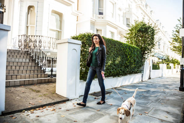 istock Morning walk with dog in London 1081581934