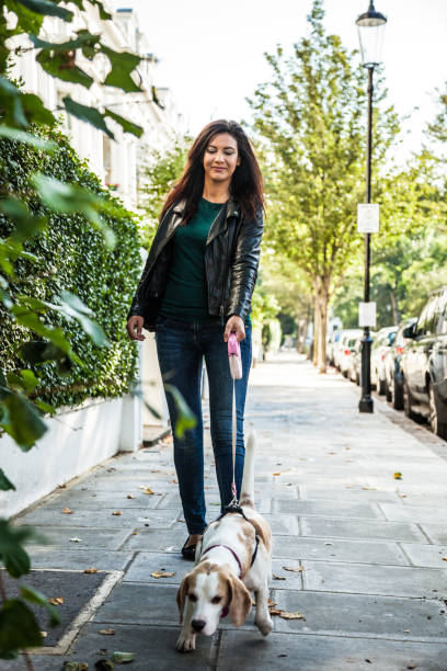 istock Morning walk with dog in London 1081581942