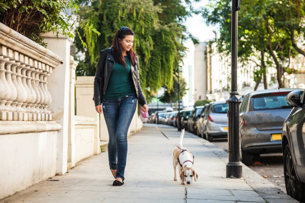 Morning walk with dog in London