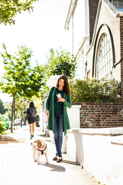 istock Morning walk with dog in London 1081582182