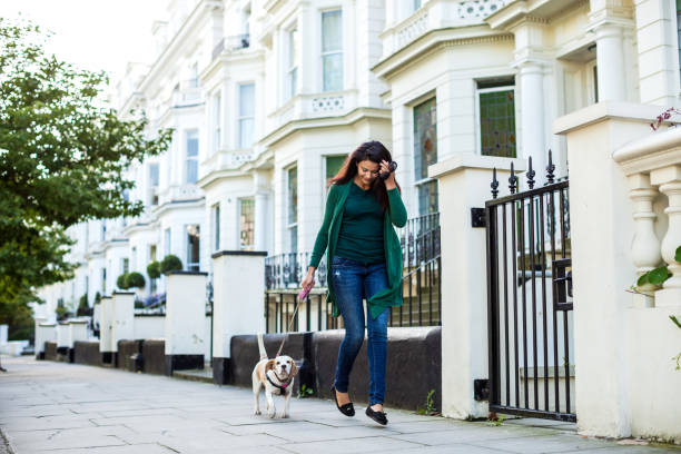 istock Morning walk with dog in London 1081582192