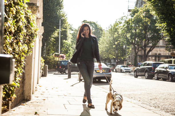 istock Morning walk with dog in London 1081582230