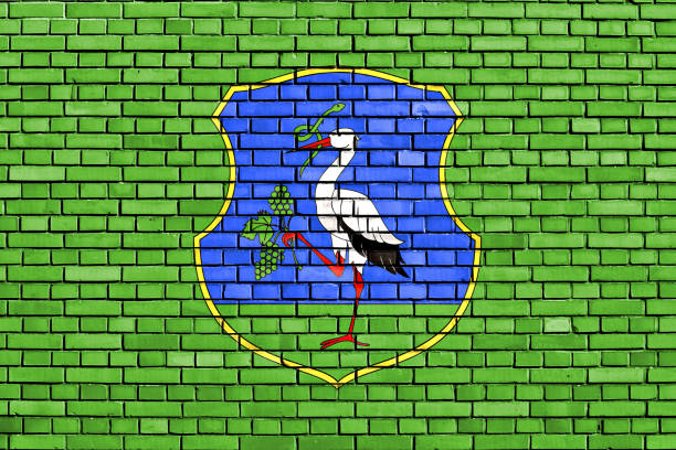 istock flag of Heves County painted on brick wall 1081582970