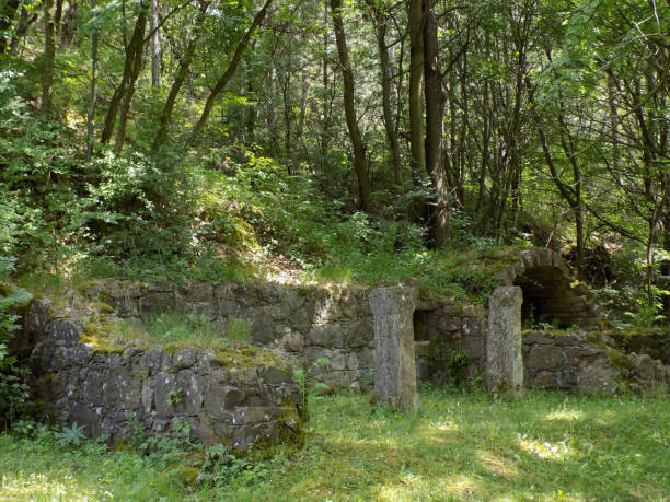 istock Ruins of the medieval building deep in the forest 1081584662