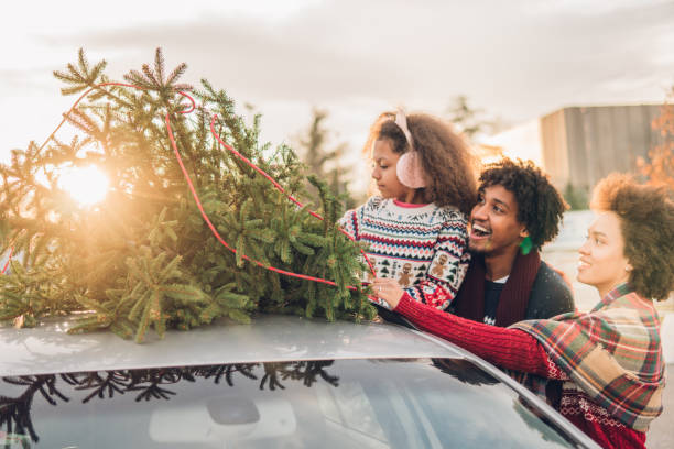 istock Smiling people strapping Christmas tree onto a car 1081587114