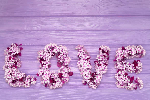 napis miłość wykonana z kwiatów wiśni na fioletowym drewnianym tle. elementy projektu na walentynki. - cherry valentine zdjęcia i obrazy z banku zdjęć