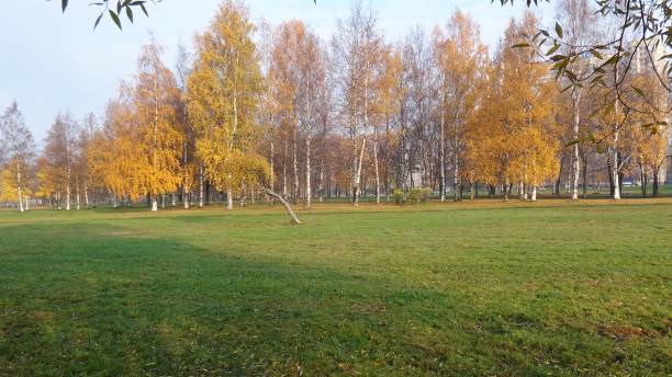 Autumn in Saint Petersburg parks 2018 stock photo