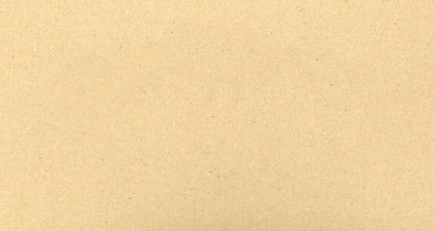 istock brown cardboard corrugated cardboard texture background 1081606008