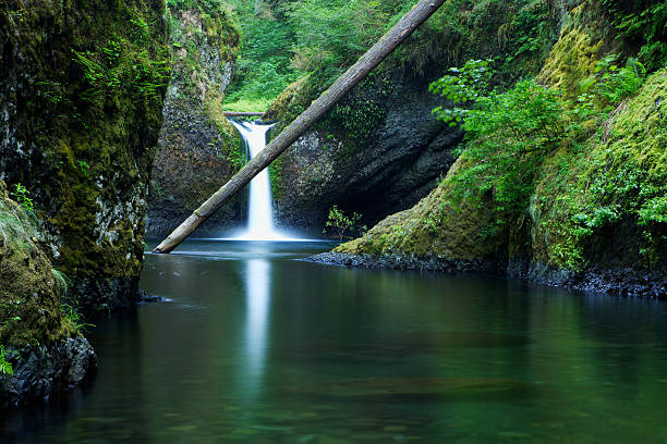 istock Punchbowl Falls in Columbia River Gorge National Park 108161148