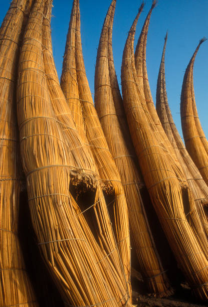традиционном перуанском солома палка на подходе на пляж - huanchaco стоковые фото и изображения