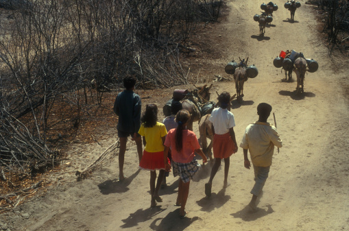 Aswan, Egypt - aug 12, 1991: in the Nubian village on the Elephantine island the village life takes place in an environment that, even in 1991, was very poor and degraded