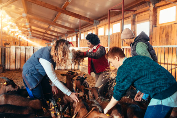 istock Goat Farm Owners With Volunteers 1081613022