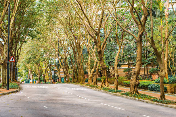 istock Empty road at day time. Park island. Hong Kong. 1081613030