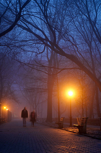 Two People Walking in Wet Foggy Park at Night stock photo