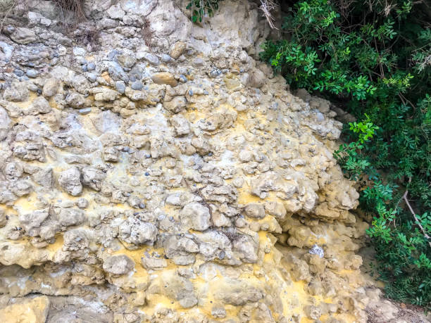 istock Natural stone, rock formation, sea coast 1081613788