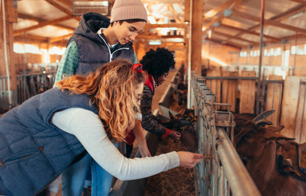 istock Goat Farm Owners With Volunteers 1081614212